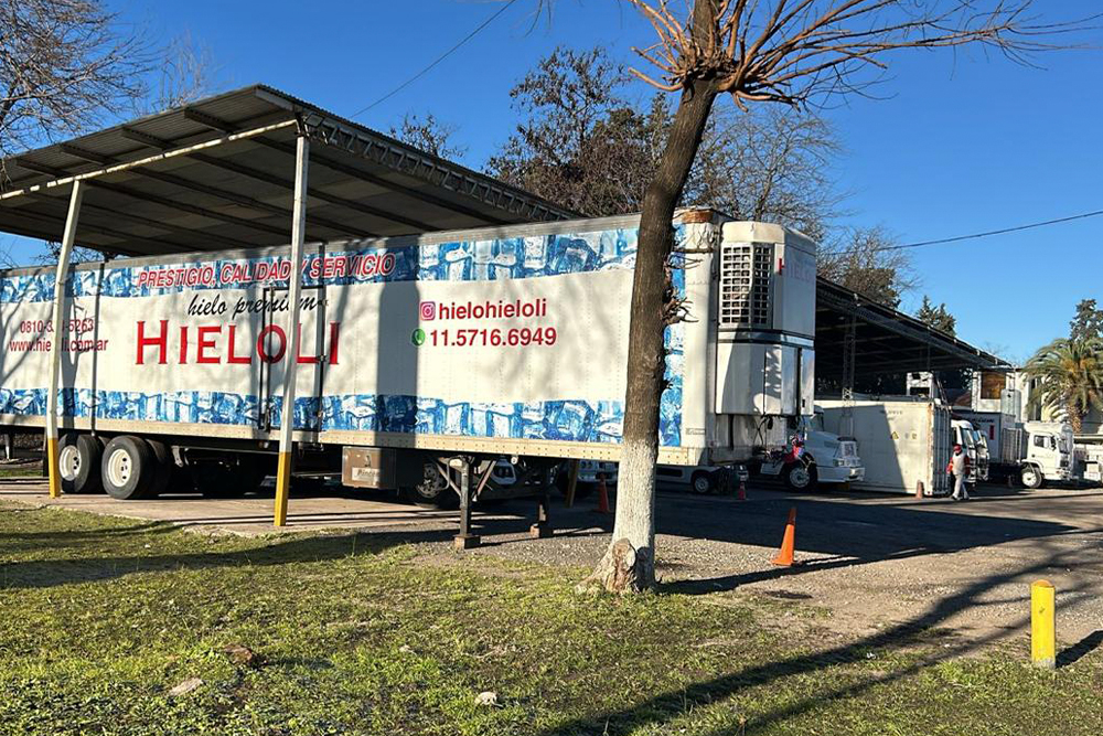 Hieloli